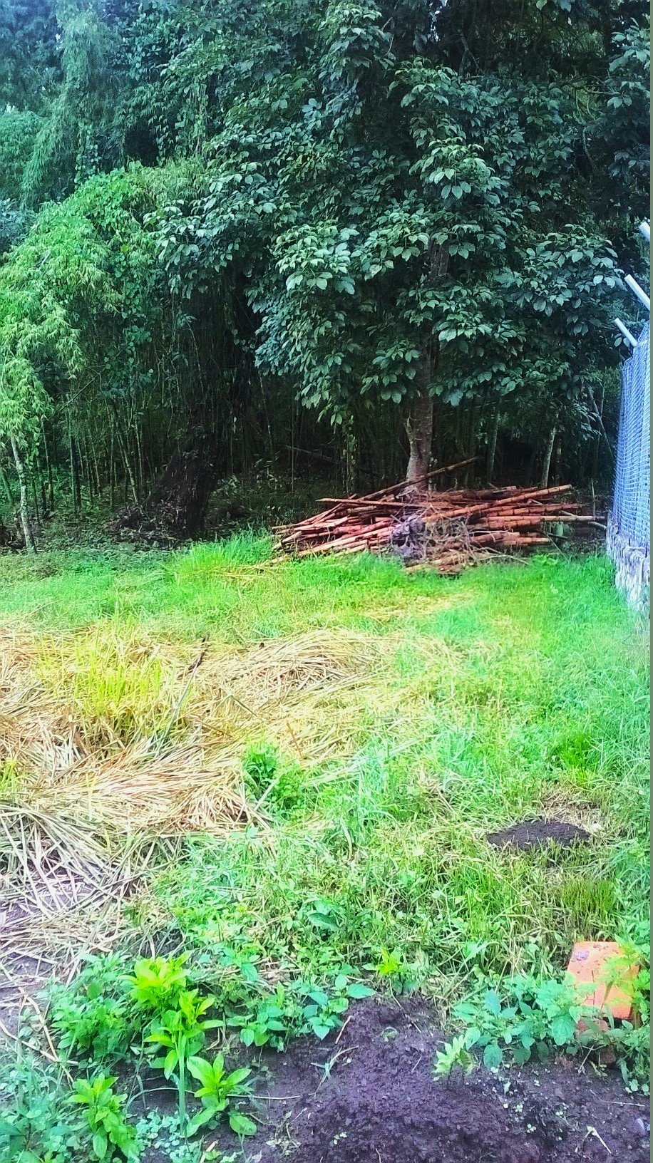 Vista amplia del lote en Chinchiná